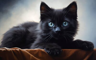 Black Cat Names Ideas