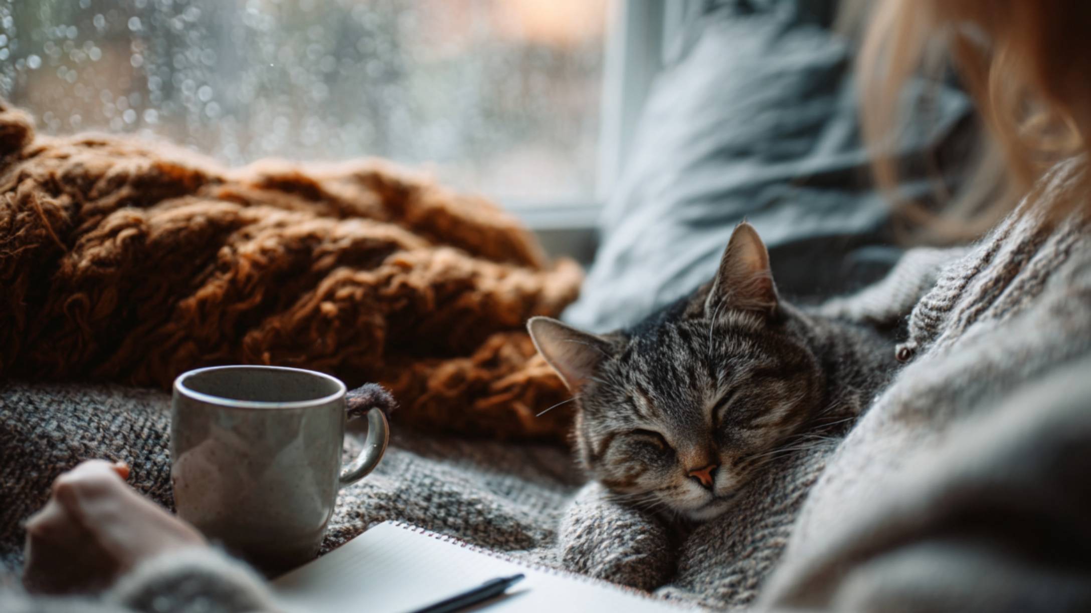 woman with cat by window emotional support animals