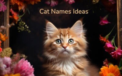 250 Cat Name Ideas