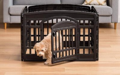 5 Best Plastic Playpens for Dogs