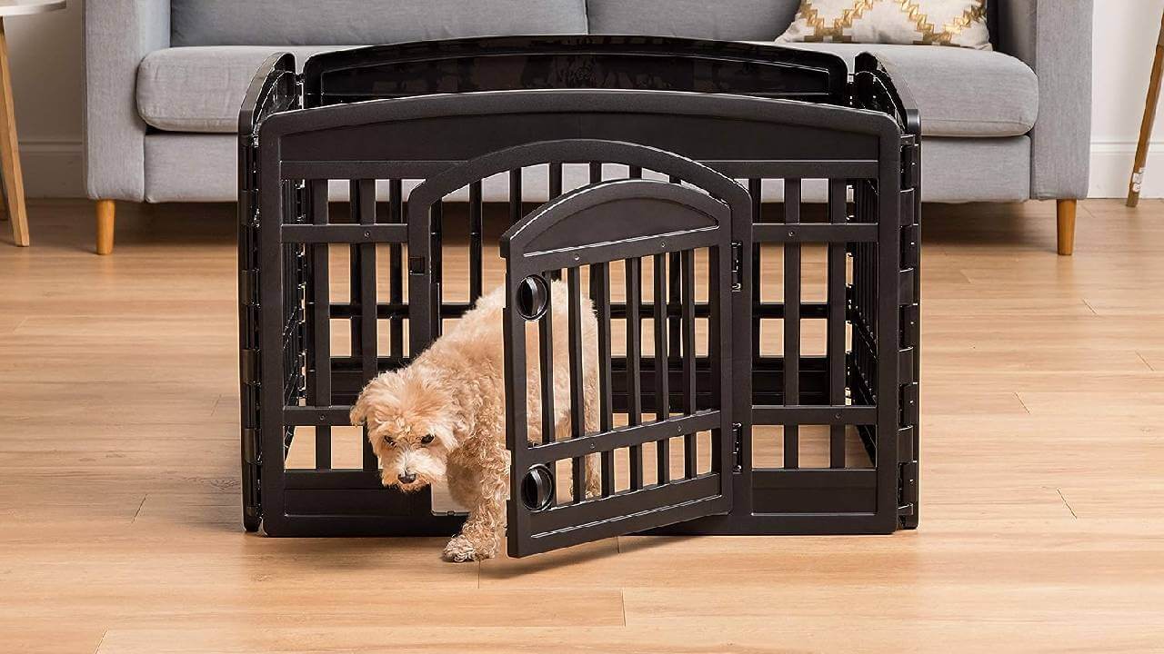 Best Plastic Playpen for Dogs