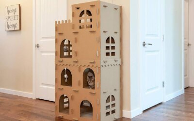 Best Cat Castle of 2025