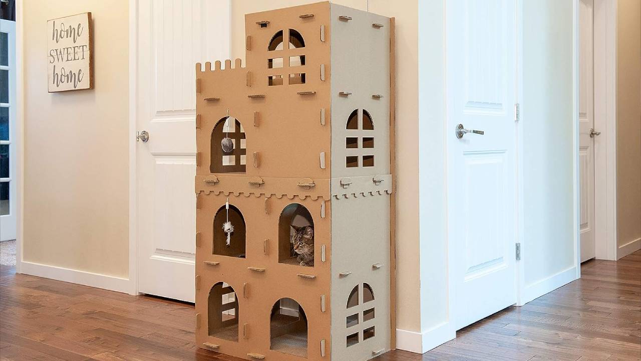 best cat castle