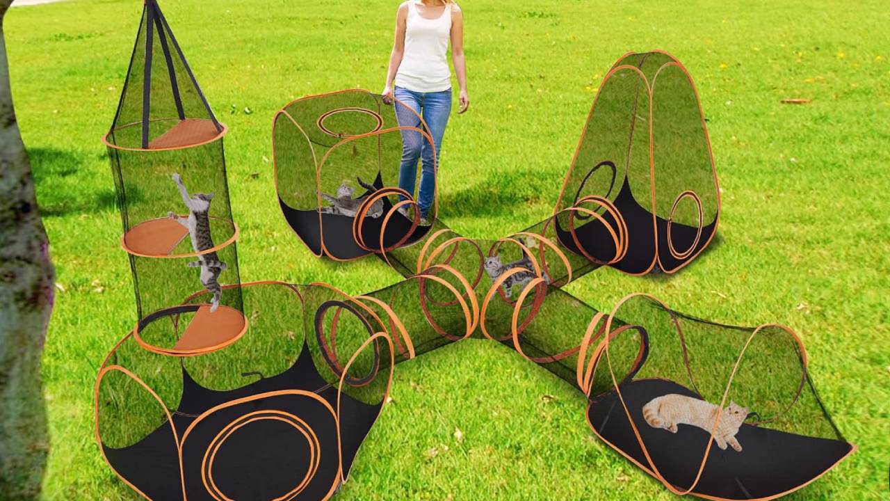 Best Kittens Playpen