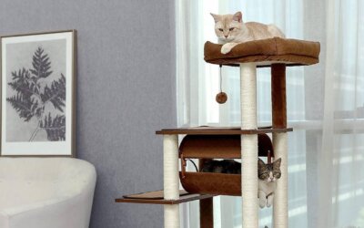 Best Aesthetic Cat Trees