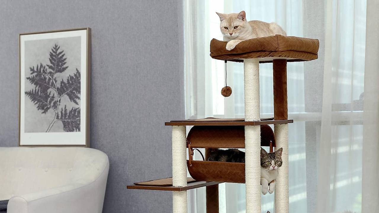 Best aesthetic cat tree