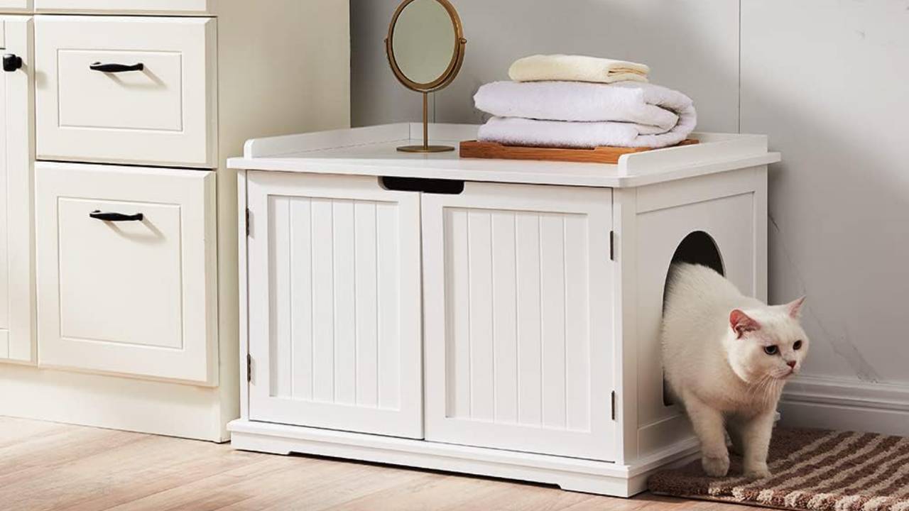 Best cat litter box furniture