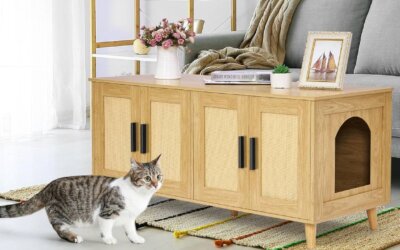Best Multi Cat Litter Box Furniture of 2025