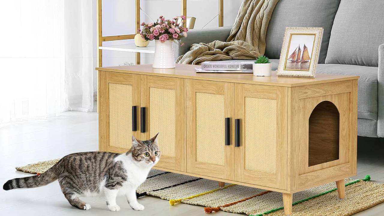 Best multi cat litter box furniture