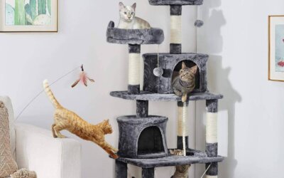 Best Cat Trees of 2025