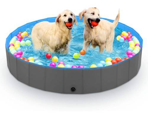 Jecoo Dog Pool for Large Dogs Kiddie Pool Hard Plastic Foldable Dog