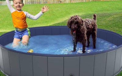 Best Foldable Dog Pools of 2025