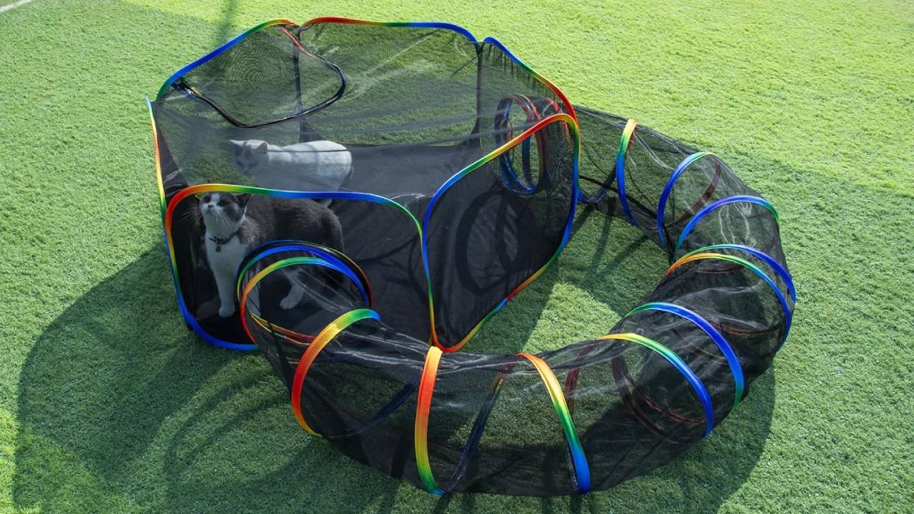best outdoor cat tunnel