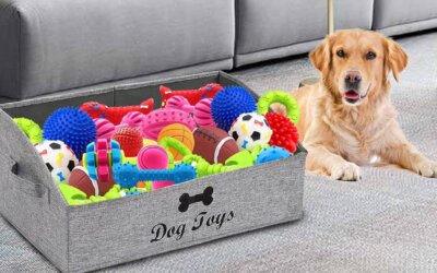 Best Pet Toy Basket That Keeps Space Organized