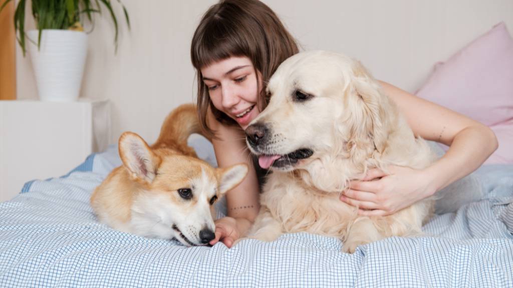 woman hugging dogs