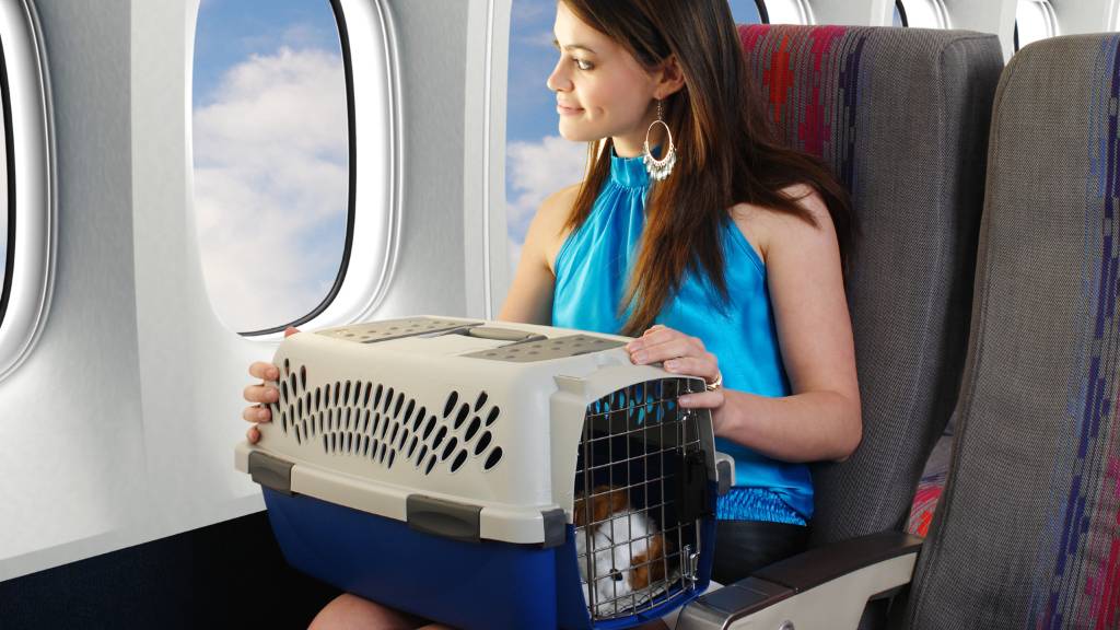 woman with pet carrier on plane
