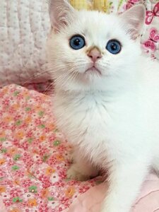 Новый проект (19)