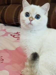 Новый проект (20)