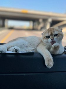 Новый проект (1)