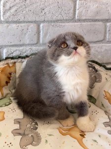 Новый проект (2)
