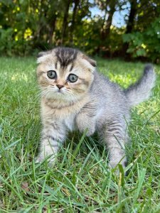 Новый проект (2)