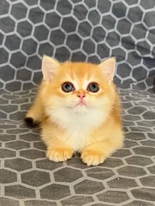 Новый проект (3)