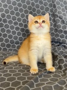 Новый проект (3)