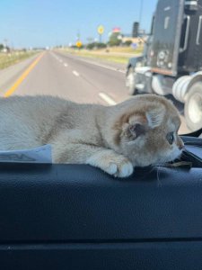 Новый проект (3)