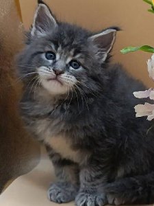 Новый проект (2)