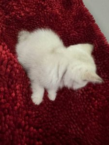Новый проект (2)
