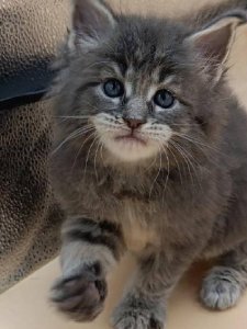 Новый проект (3)