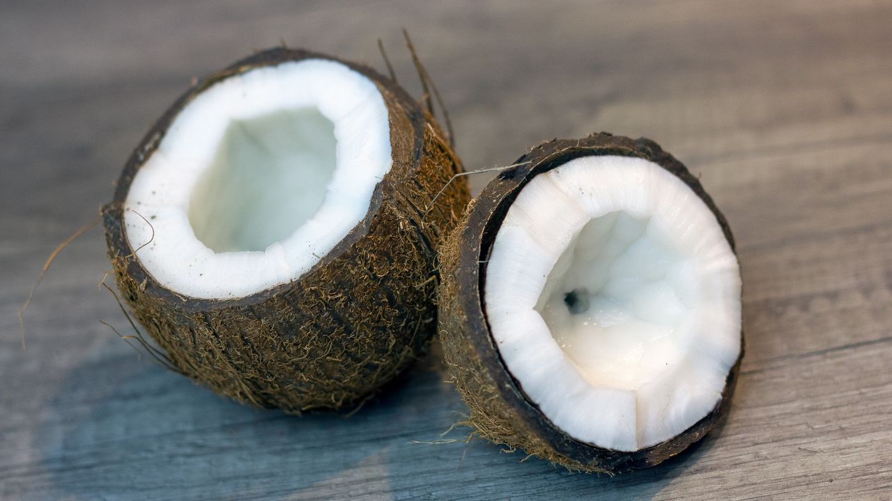 coconut