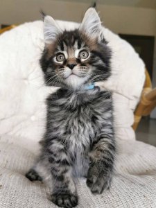 Новый проект (1)