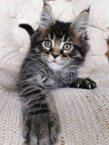 Новый проект (2)