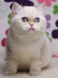 Новый проект (2)