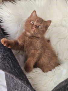 Новый проект (2)