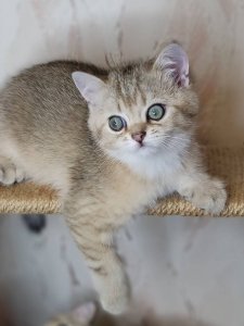 Новый проект (2)