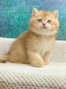 Новый проект (2)