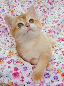 Новый проект (2)