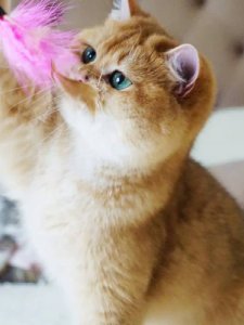 Новый проект (2)