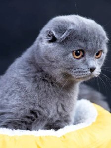 Новый проект (2)