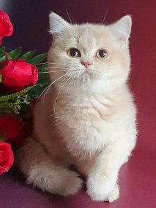 Новый проект (2)