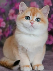 Новый проект (2)