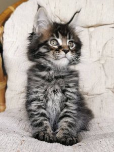 Новый проект (3)