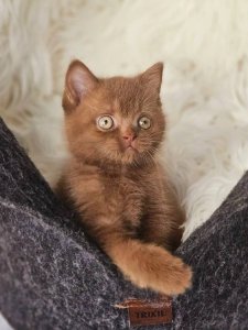 Новый проект (3)