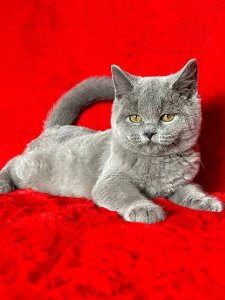 Новый проект (3)