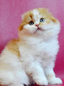 Новый проект (3)