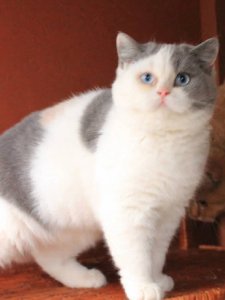 Новый проект (3)