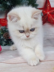 Новый проект (3)