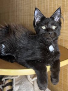 Новый проект (3)